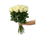 bouquet of Ecuadorian roses 80cm